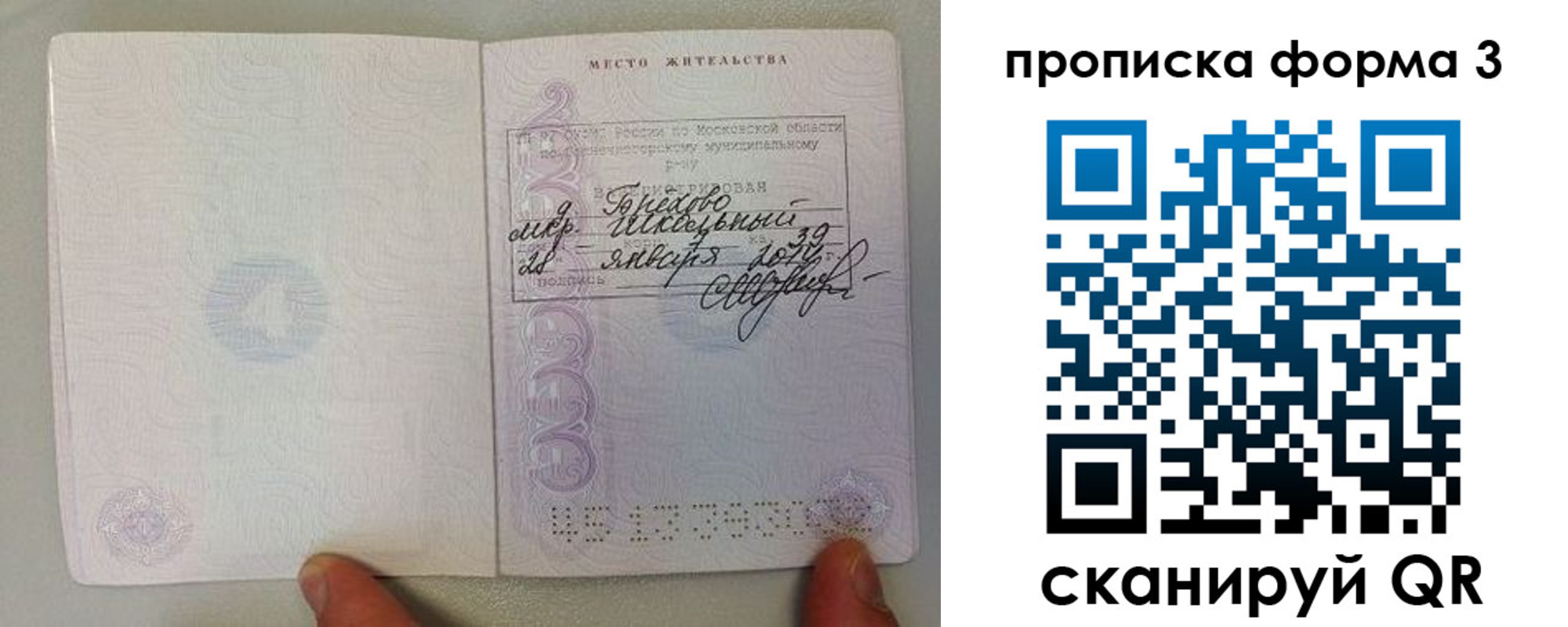 прописка гарантия в Новосибирской области